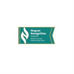 Image of Magnet Recognition Designated Lapel Pin