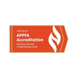 Image of Journey to APPFA Accreditation Lapel Pin