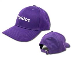 Image of Purple Leidos hat