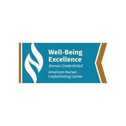 Image of Well-Being Excellence Bronze Sticker, Pack of 10