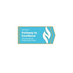 Image of Journey to Pathway Excellence Lapel Pin