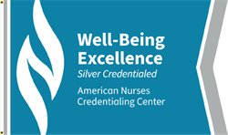 Image of Well-Being Excellence Silver Credentialed Flag
