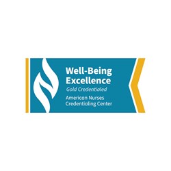 Image of Well-Being Excellence Gold Sticker, Pack of 10