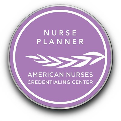 Nurse Planner Pin