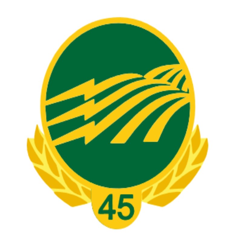 45 Year Service Pin
