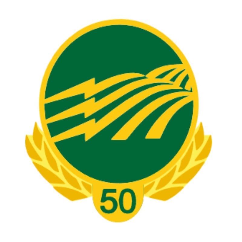 50 Year Service Pin