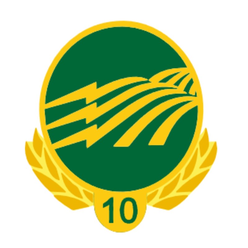 10 Year Service Pin