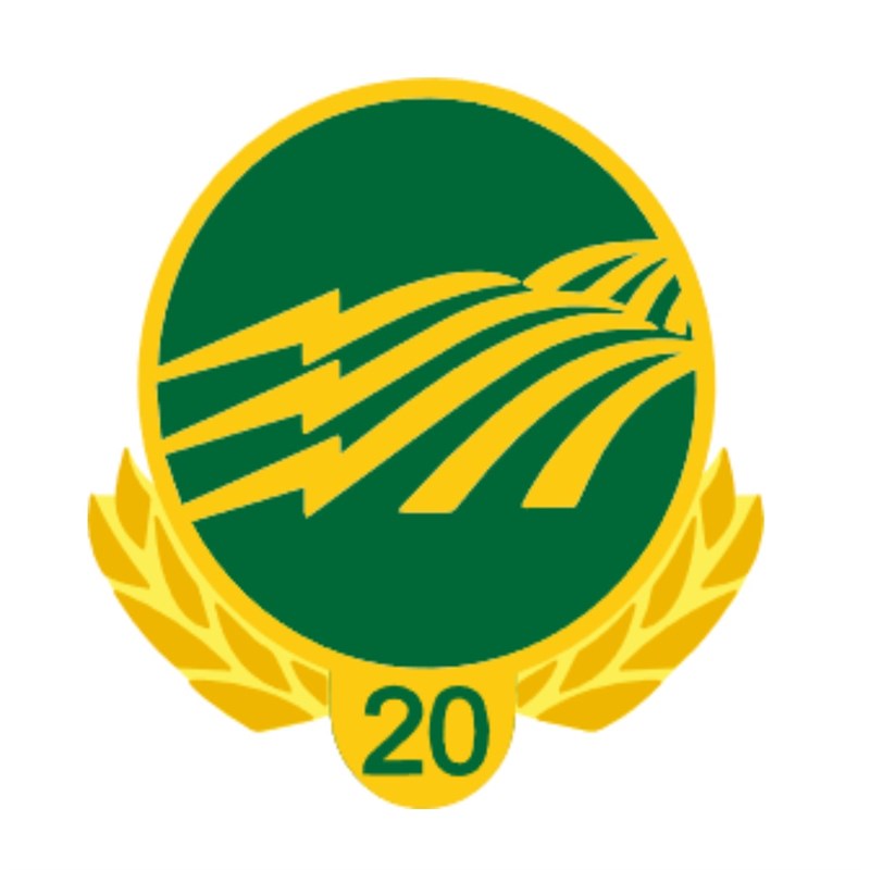 20 Year Service Pin