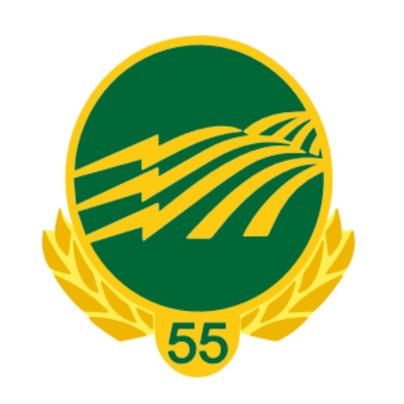 55 Year Service Pin